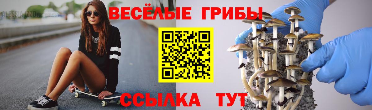 Псилоцибиновые грибы GOLDEN TEACHER  Псилоцибиновые грибы MAGIC MUSHROOMS  Янаул  Вход с VPN 